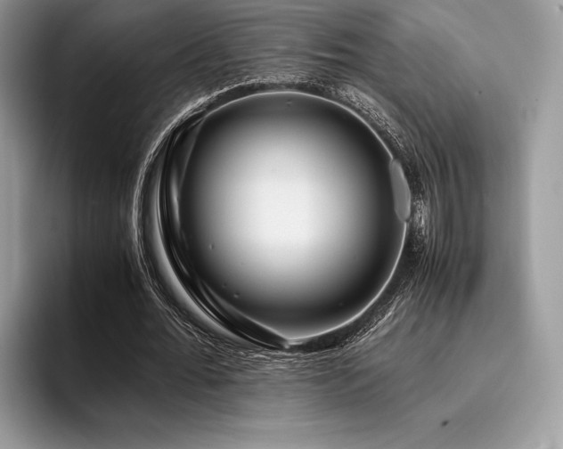 X0000096220676200801181451