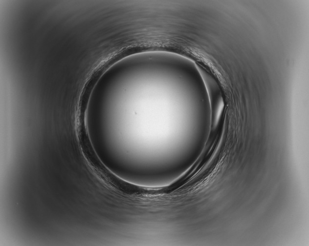 X0000096220677200801181451