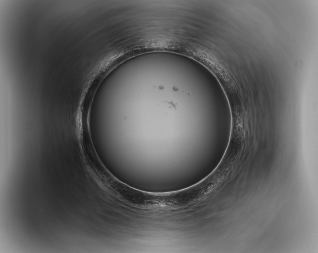 X0000096220678200801181451
