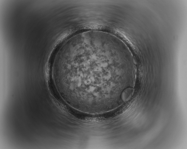 X0000096220679200801181451