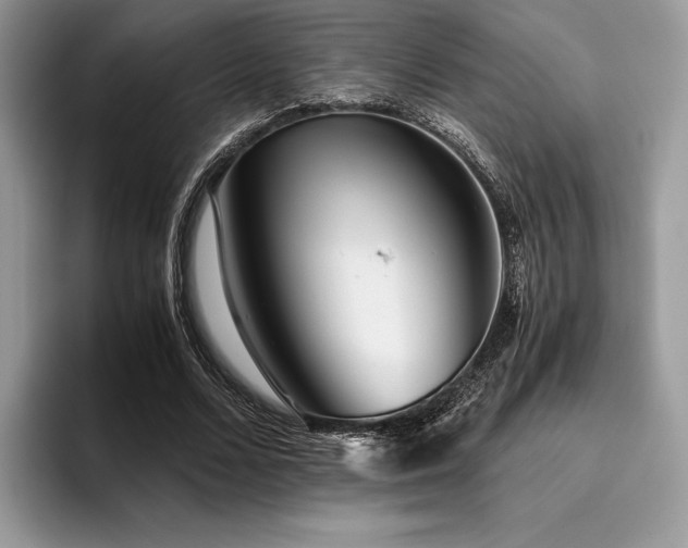 X0000096220680200801181451