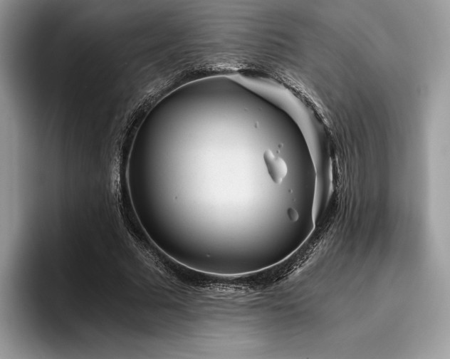 X0000096220681200801181451