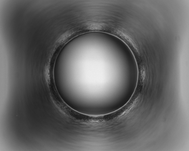 X0000096220682200801181451