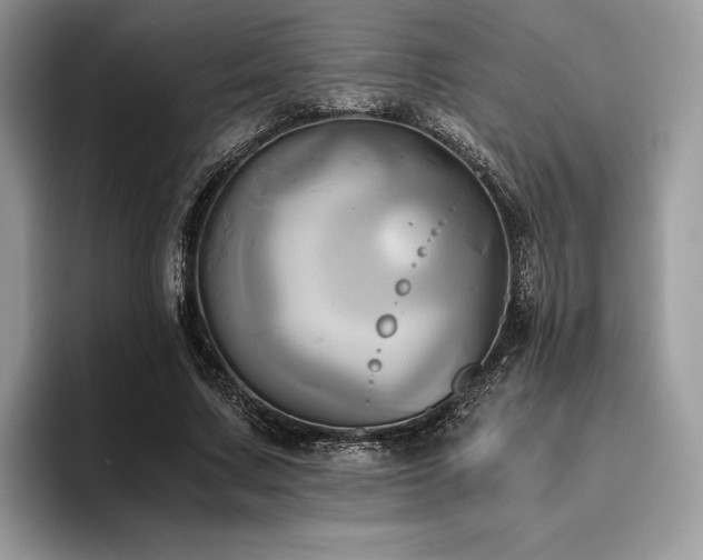 X0000096220683200801181451