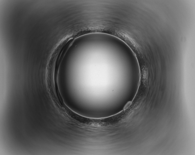 X0000096220684200801181451
