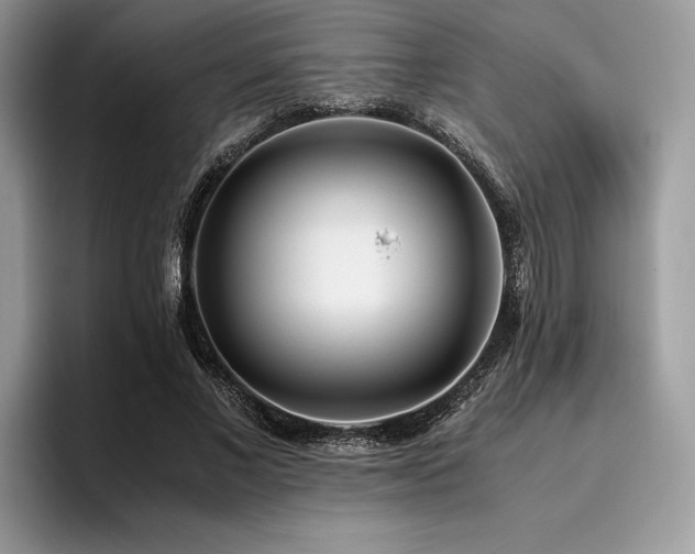 X0000096220685200801181451