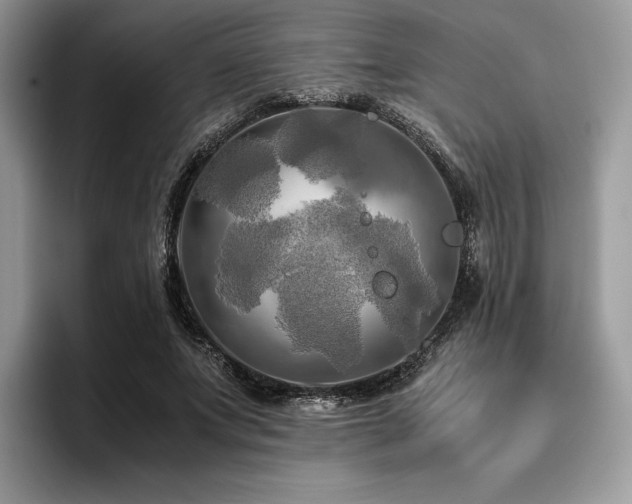 X0000096220687200801181451
