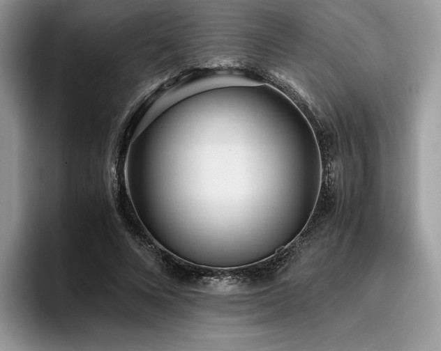 X0000096220688200801181451