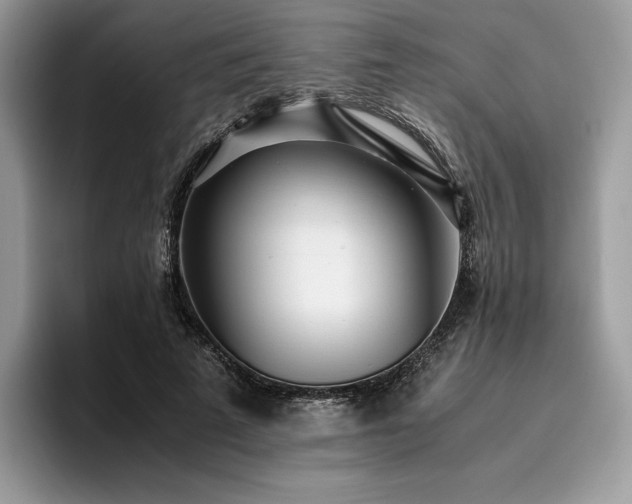 X0000096220689200801181451