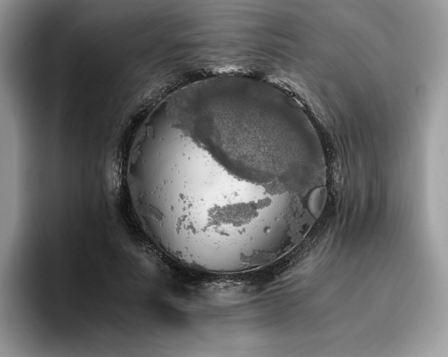 X0000096220691200801181451