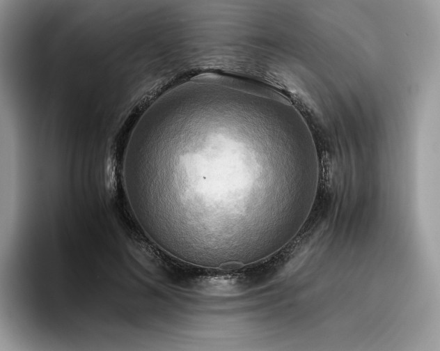 X0000096220692200801181451