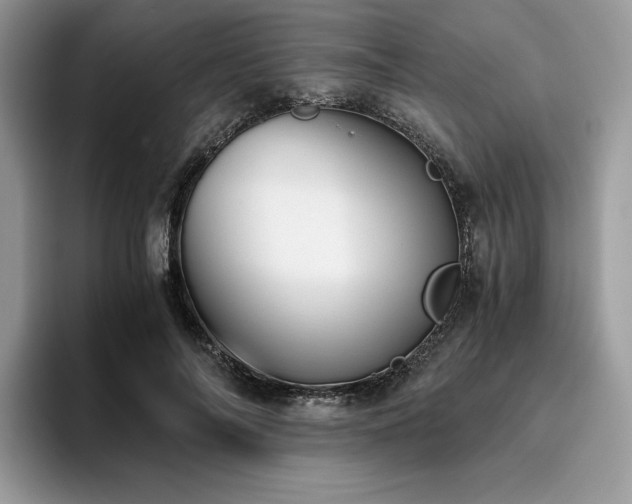 X0000096220694200801181451