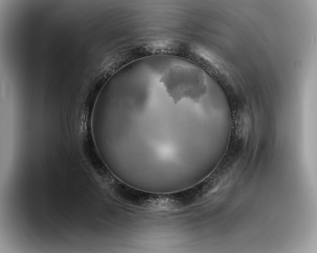 X0000096220695200801181451