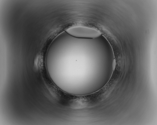 X0000096220696200801181451