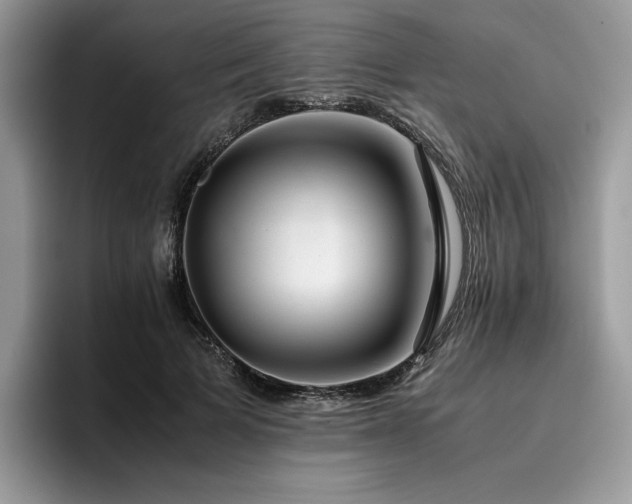 X0000096220697200801181451