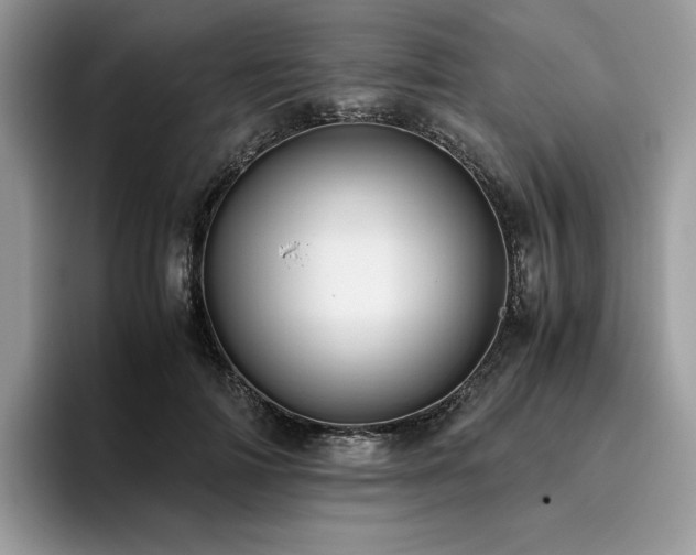 X0000096220698200801181451