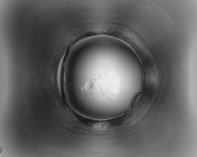 X0000096220700200801181451