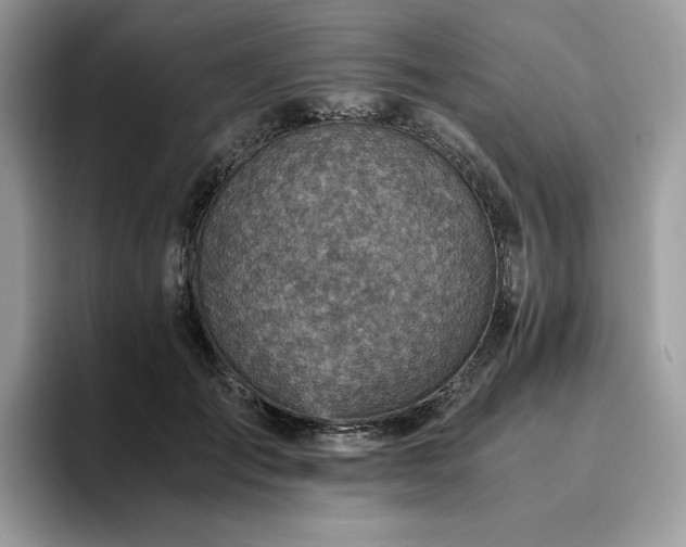 X0000096220701200801181451