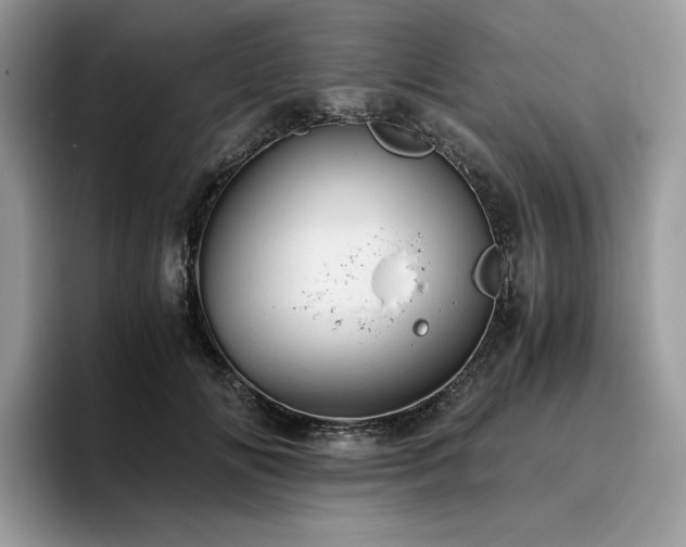 X0000096220702200801181451