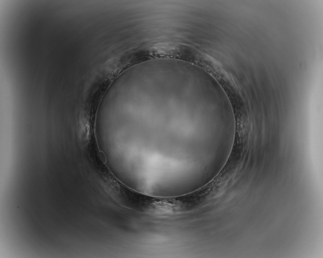 X0000096220703200801181451