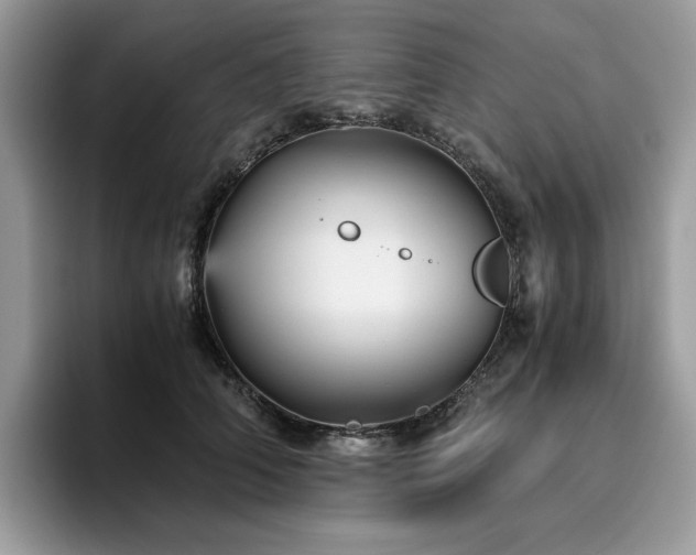 X0000096220706200801181451