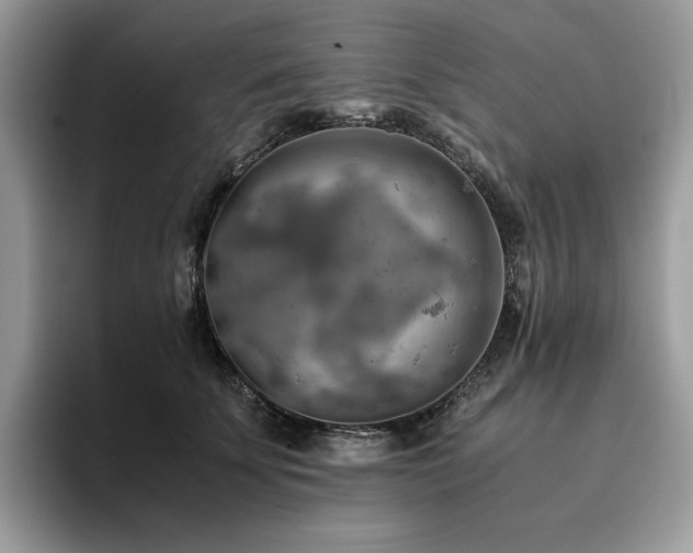 X0000096220707200801181451