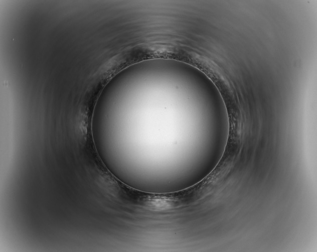 X0000096220710200801181451