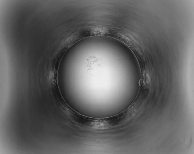 X0000096220714200801181450