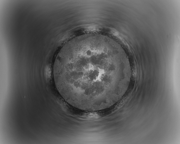 X0000096220715200801181450