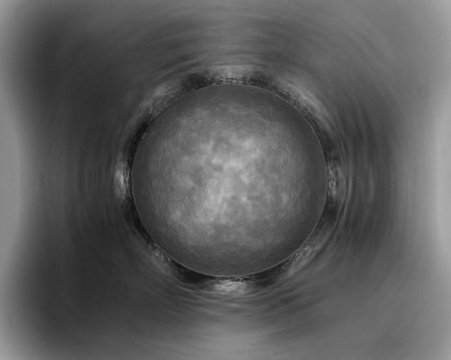 X0000096220718200801181450