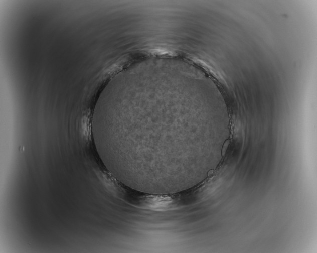 X0000096220719200801181450