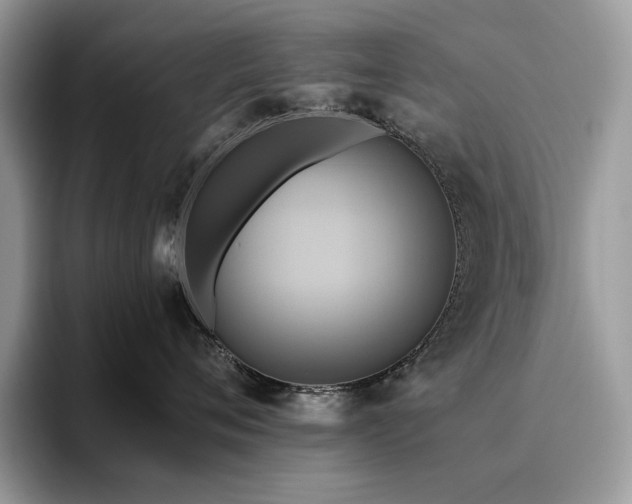 X0000096220720200801181450