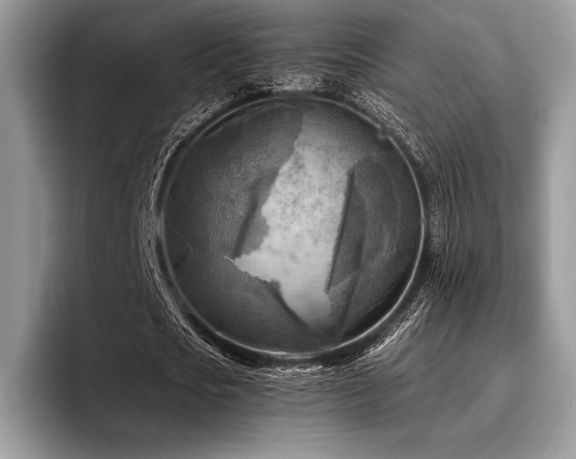 X0000096220721200801181450