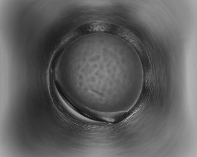 X0000096220722200801181450