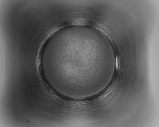 X0000096220723200801181450