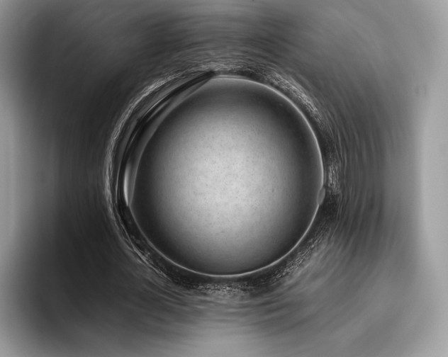 X0000096220724200801181450
