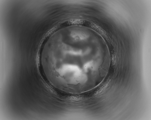 X0000096220725200801181450