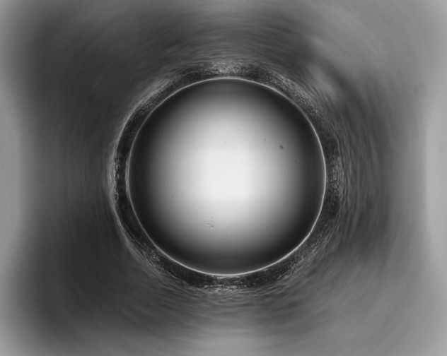 X0000096220730200801181450