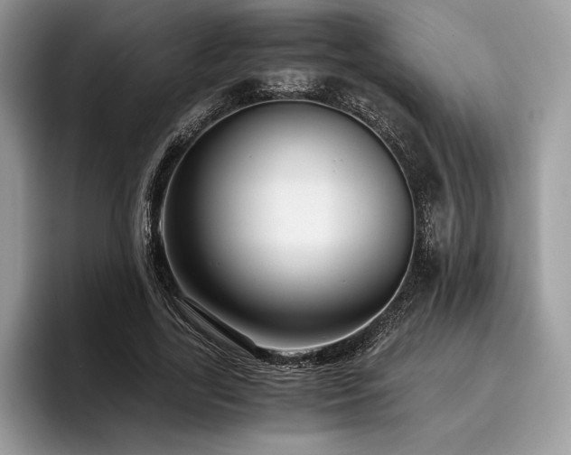 X0000096220731200801181450