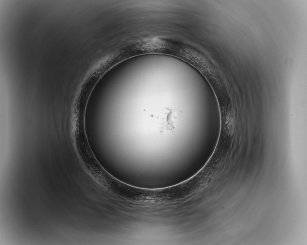 X0000096220732200801181450