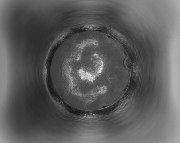 X0000096220734200801181450