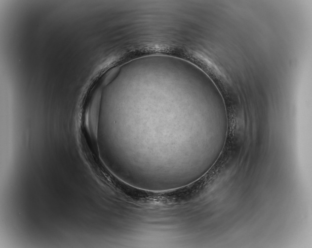 X0000096220736200801181450