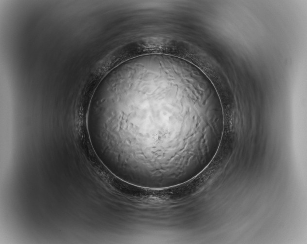 X0000096220737200801181450