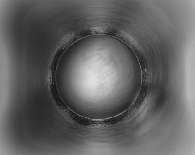 X0000096220738200801181450