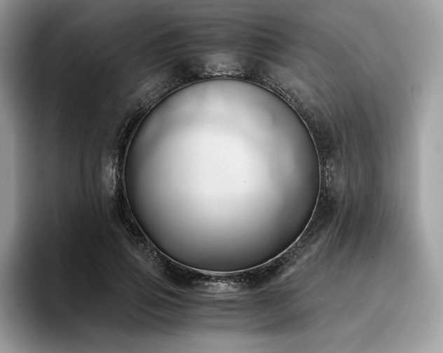 X0000096220741200801181450
