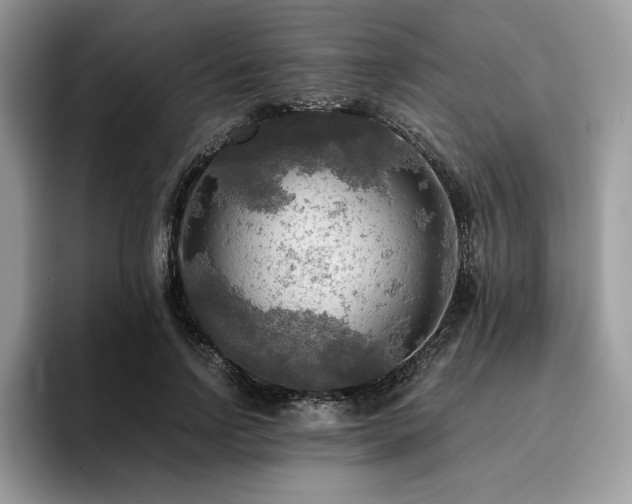 X0000096220742200801181450