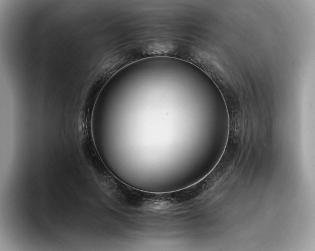 X0000096220743200801181450
