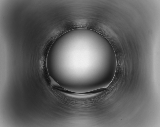 X0000096220744200801181450