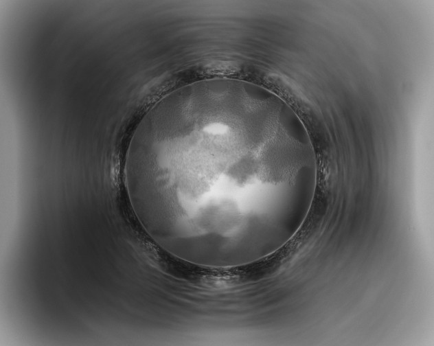 X0000096220745200801181450