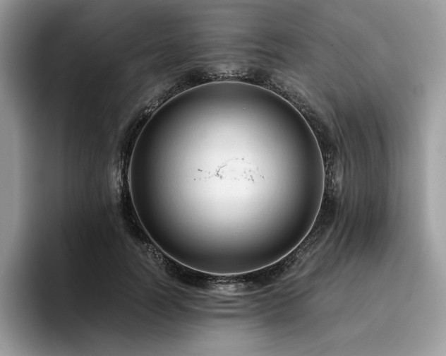 X0000096220746200801181450